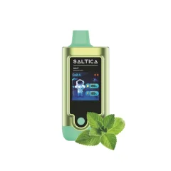Saltica Digital 20000 Mint