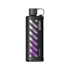Vozol Gear Shisha 25000 Grape Mint